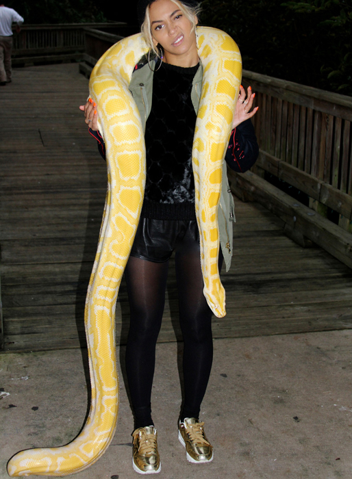 Beyoncé bjöd även på några bilder där hon var på ett zoo. Beyoncé bjöd även på några bilder där hon var på ett zoo.