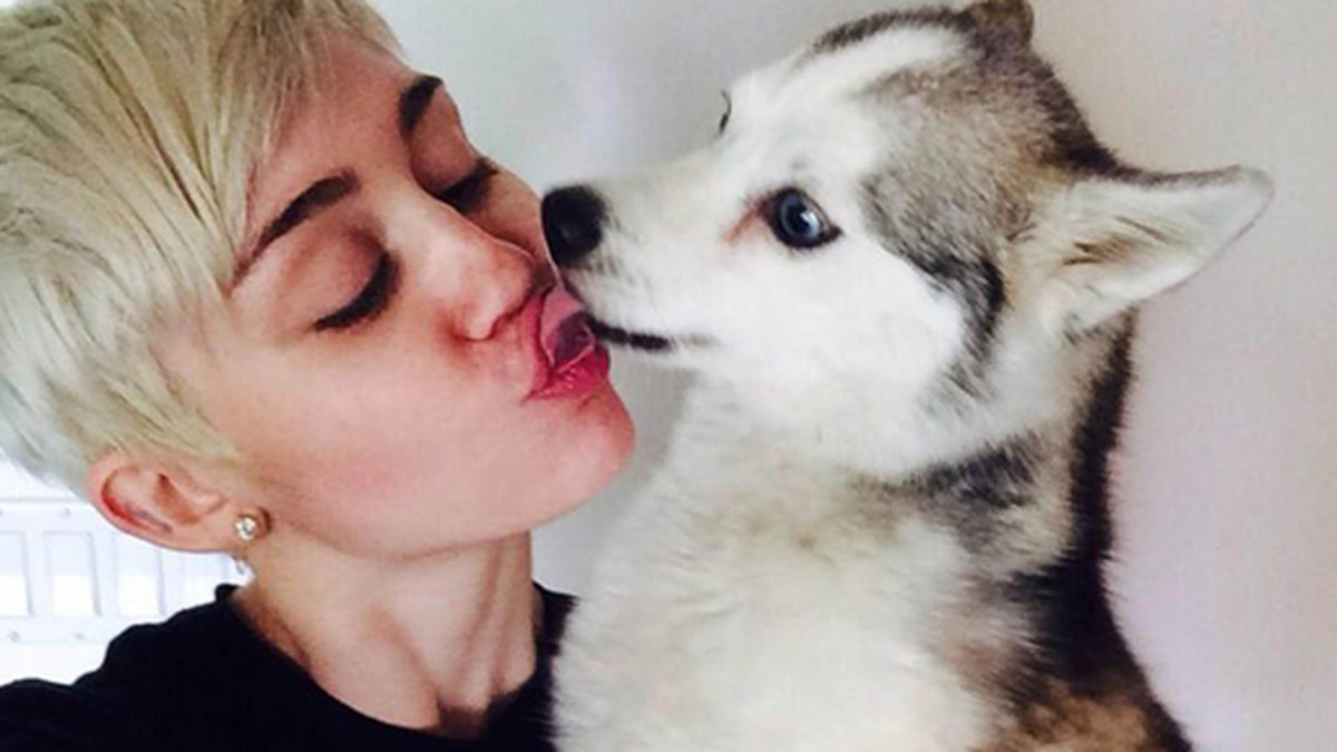 Miley sörjer sin hund som har gått bort. 