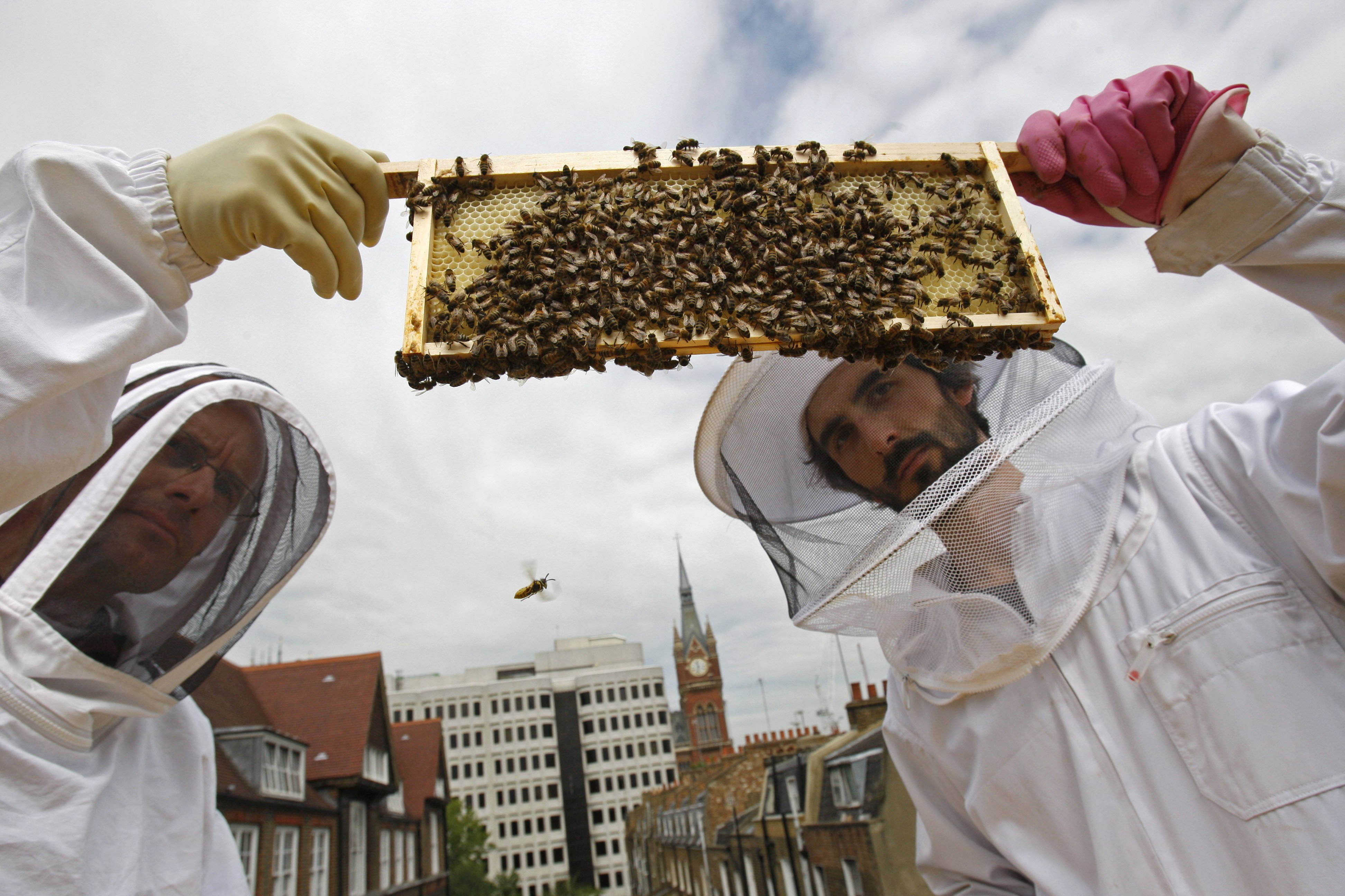 100 000 bin är ingen tebjudning. Inte ens att jämföra med en kunglig tebjudning.