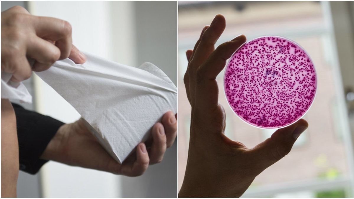 Toalettpapper på sitsen kan kännas som en bra lösning på äckelkänslan. Men det kan faktiskt vara farligt. 