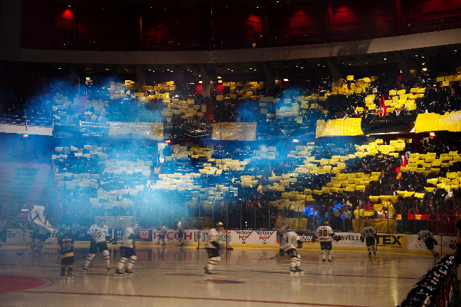 AIK svarade med ett minst lika vackert tifo. AIK svarade med ett minst lika vackert tifo.